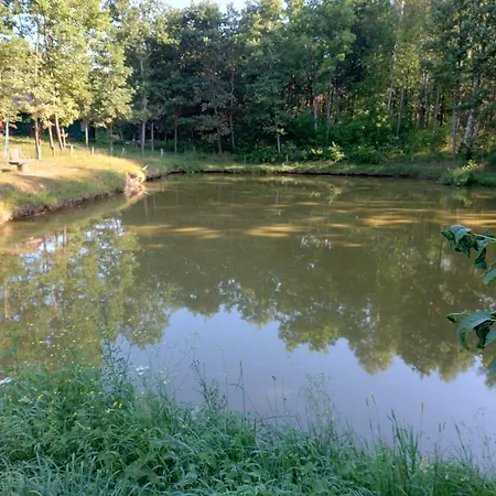 W Lesie * Tuczno (Walcz)