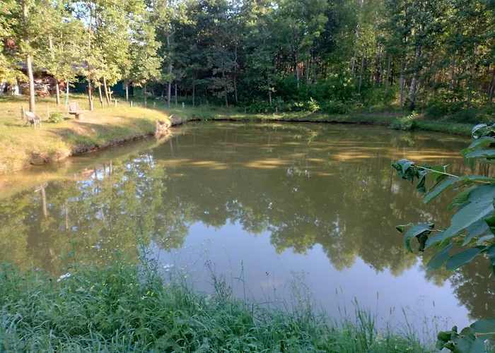 W Lesie * Tuczno (Walcz)