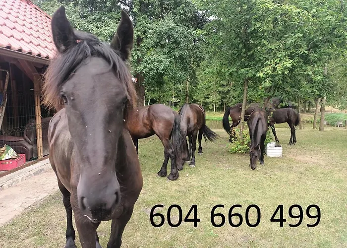 Casa vacanze W Lesie *