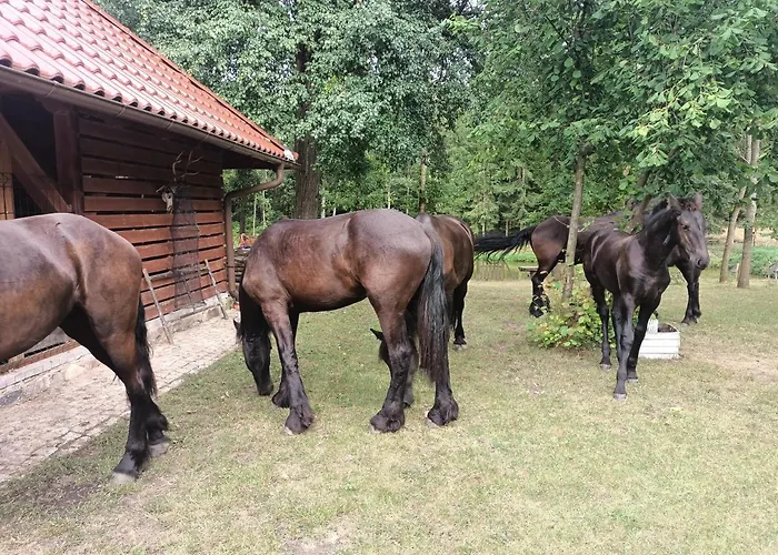 W Lesie Casa vacanze