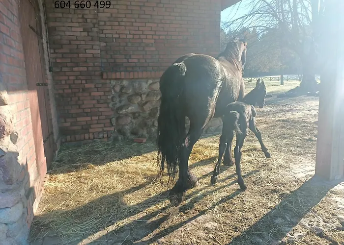 Holiday home W Lesie *