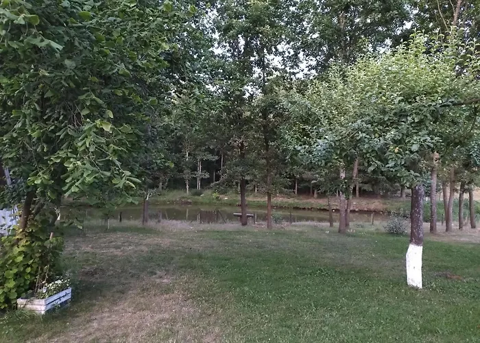 W Lesie * Tuczno (Walcz)