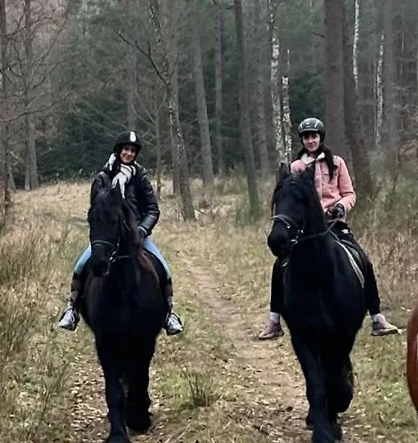 Holiday home W Lesie *