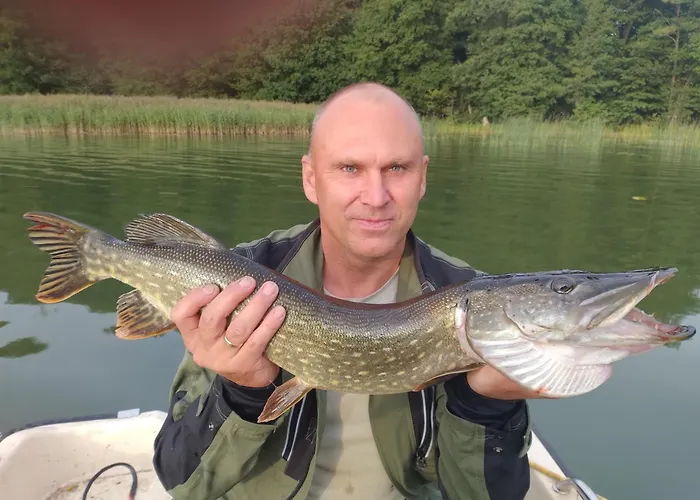 Holiday home W Lesie